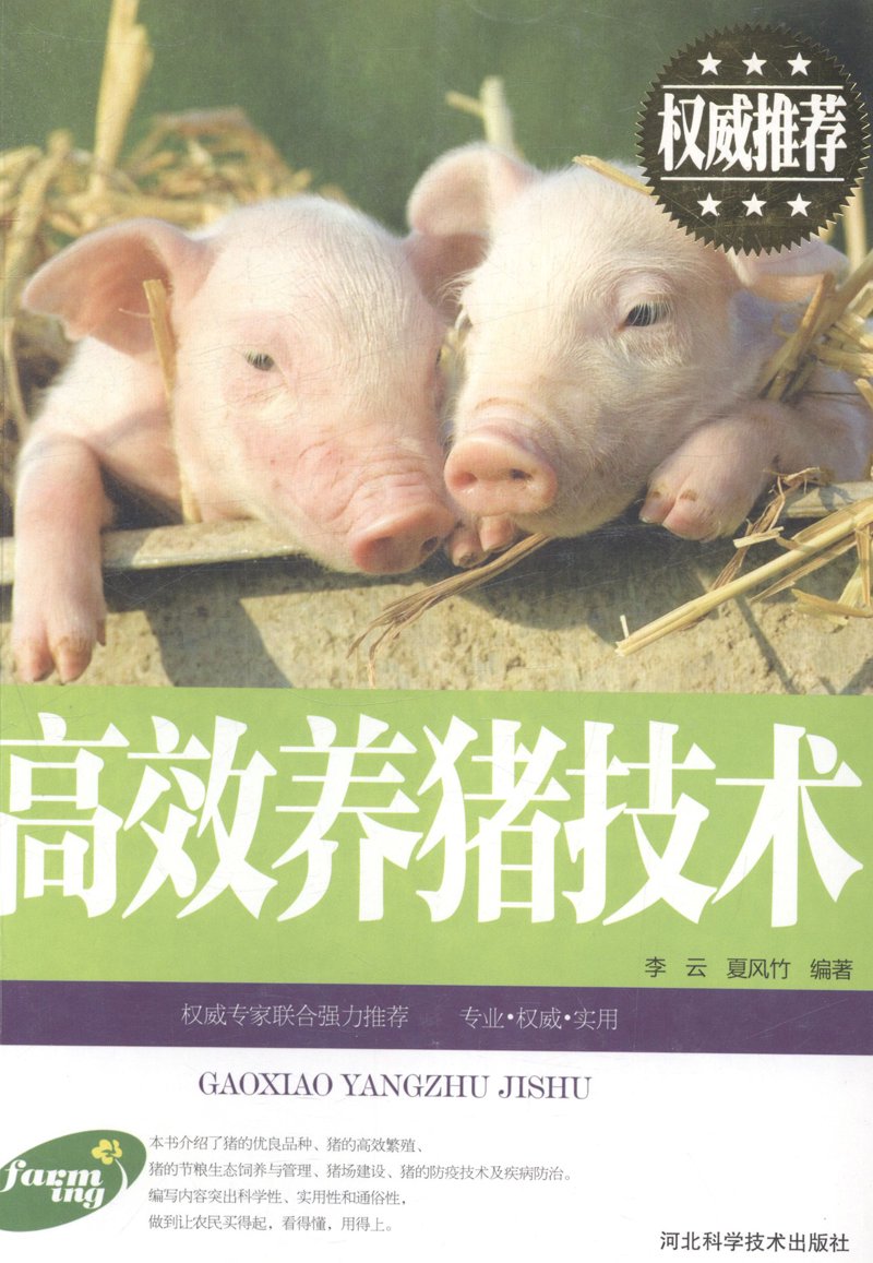 如何挑选优质的干枣